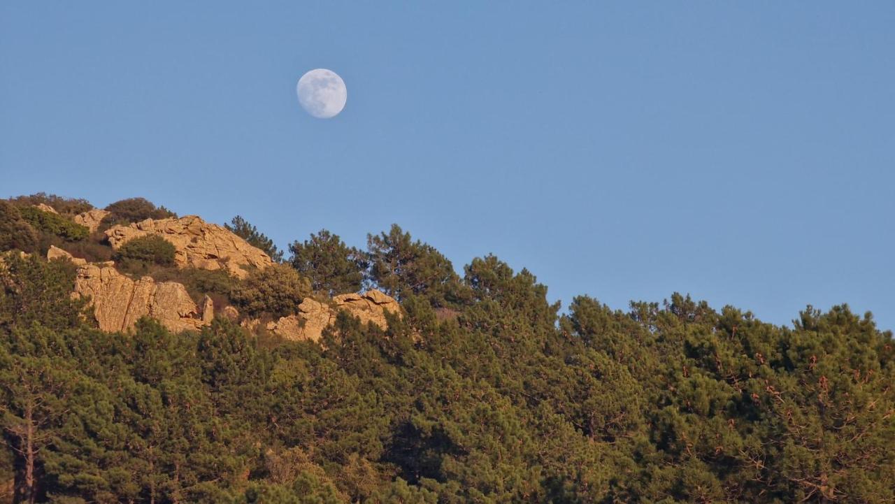 TeltiRifugio Monte Pino别墅 外观 照片