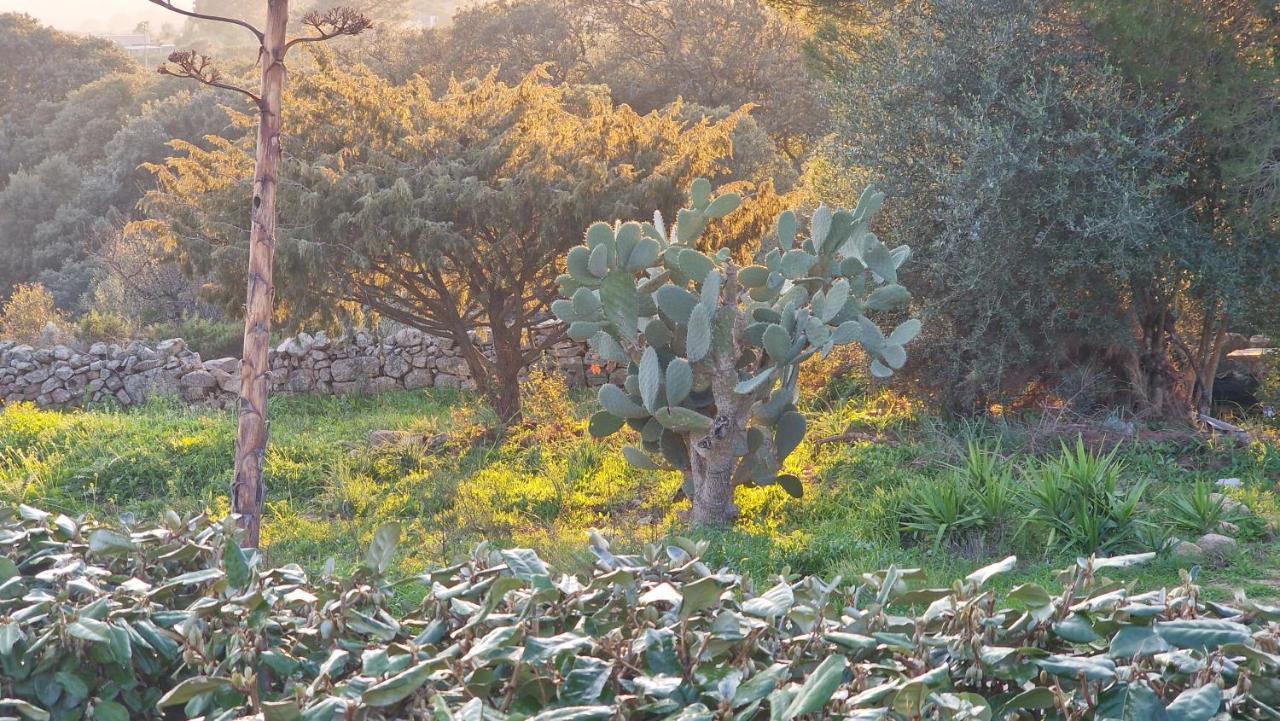 TeltiRifugio Monte Pino别墅 外观 照片
